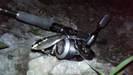 8月17日　一庫ダム釣行